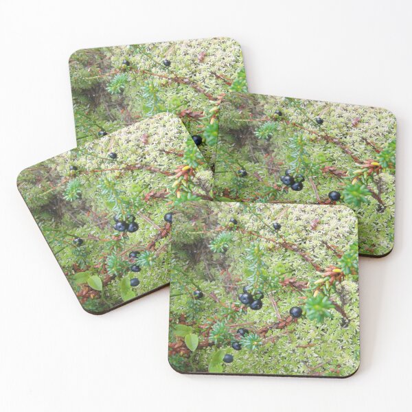 Item preview, crowberries designed and sold by Greengardens36.