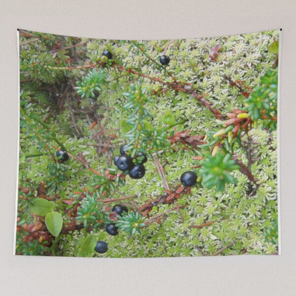 Item preview, crowberries designed and sold by Greengardens36.