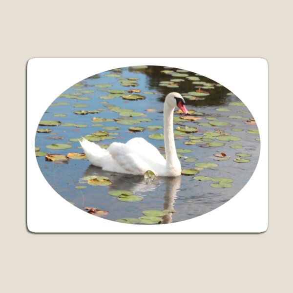 Item preview, Cisne designed and sold by jhell2.
