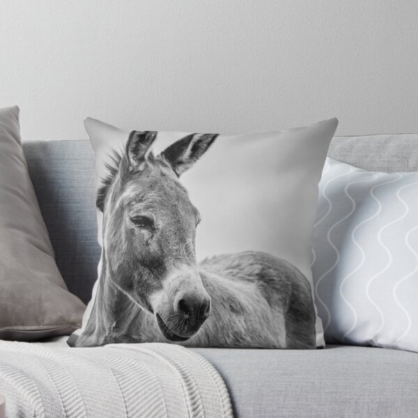 Item preview, Cute looking donkey, friendly and stubborn animals. designed and sold by AylaHarbich.