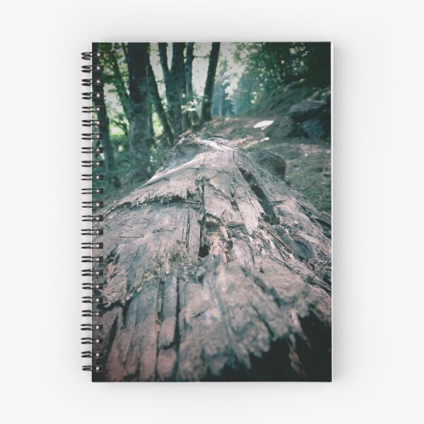 Item preview, Log View designed and sold by NikArt.