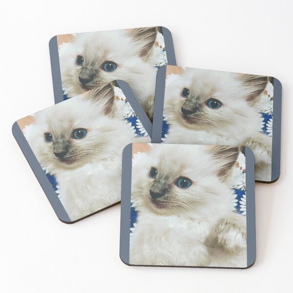 Item preview, Ragdoll kitten designed and sold by Fluffycat2020.