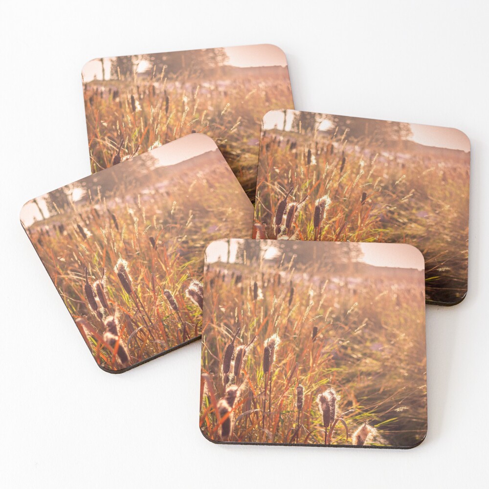 Item preview, Coasters (Set of 4) designed and sold by CoHoFlo.