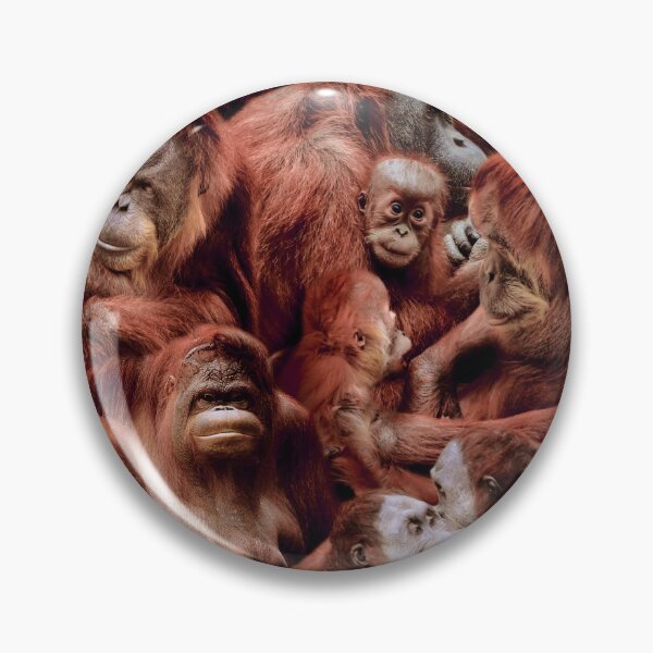 Item preview, Orangutans designed and sold by MaxencePierrard.