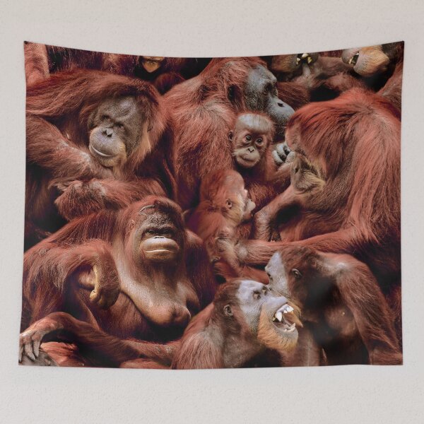 Item preview, Orangutans designed and sold by MaxencePierrard.