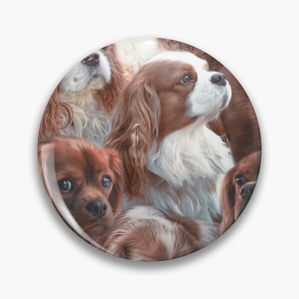 Item preview, Cavalier King Charles designed and sold by MaxencePierrard.