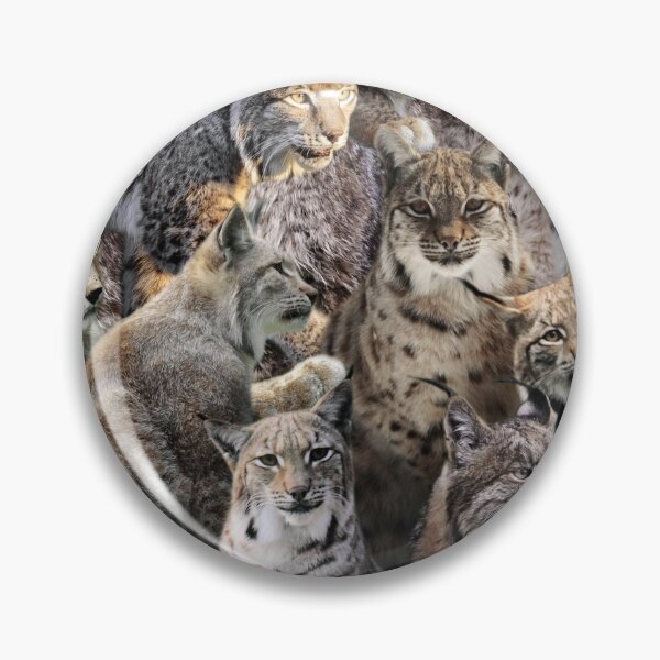 Item preview, Lynxes designed and sold by MaxencePierrard.