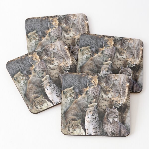 Item preview, Lynxes designed and sold by MaxencePierrard.