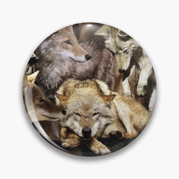Item preview, Coyotes designed and sold by MaxencePierrard.