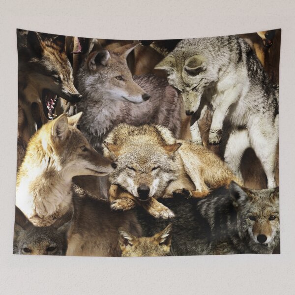 Item preview, Coyotes designed and sold by MaxencePierrard.