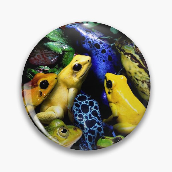 Item preview, Frogs designed and sold by MaxencePierrard.