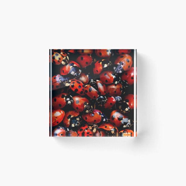 Item preview, Ladybugs designed and sold by MaxencePierrard.