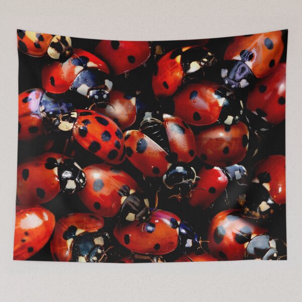 Item preview, Ladybugs designed and sold by MaxencePierrard.