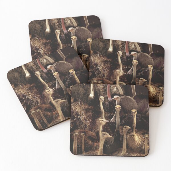 Item preview, Ostriches designed and sold by MaxencePierrard.