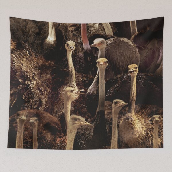 Item preview, Ostriches designed and sold by MaxencePierrard.