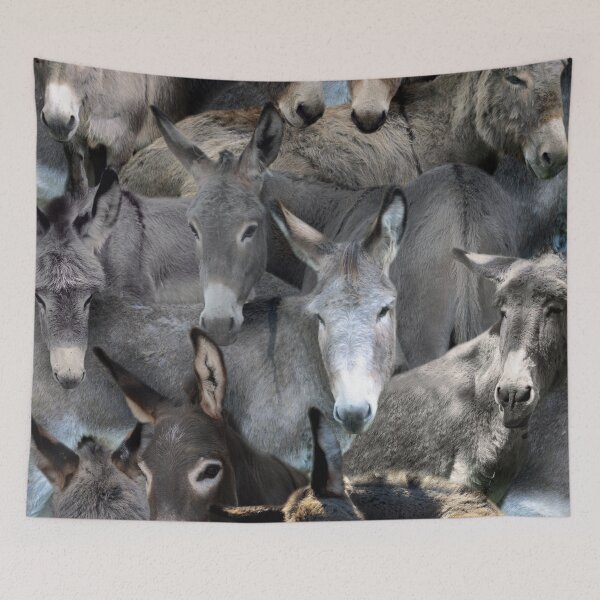 Item preview, Donkeys designed and sold by MaxencePierrard.