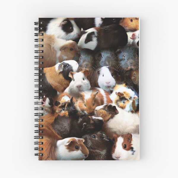Item preview, Guinea Pigs designed and sold by MaxencePierrard.