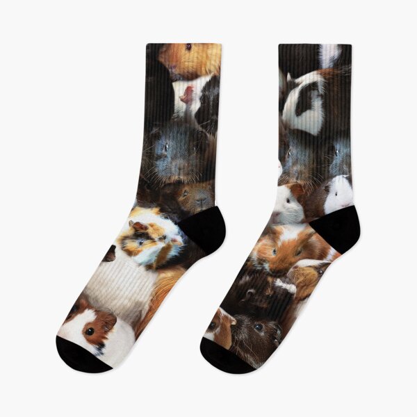 Item preview, Guinea Pigs designed and sold by MaxencePierrard.