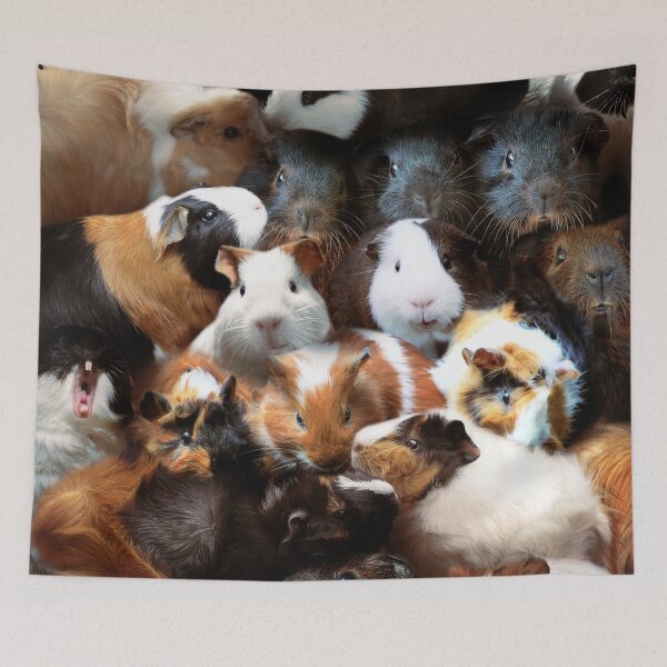 Item preview, Guinea Pigs designed and sold by MaxencePierrard.