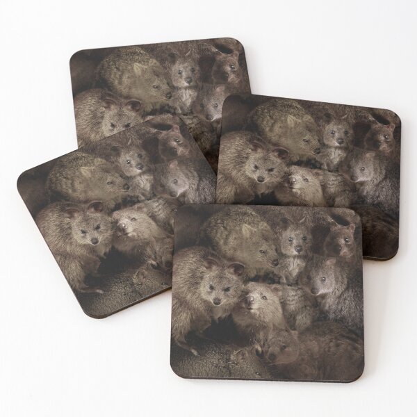 Item preview, Quokkas designed and sold by MaxencePierrard.