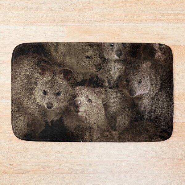 Artikelvorschau, Quokkas entworfen und verkauft von MaxencePierrard.