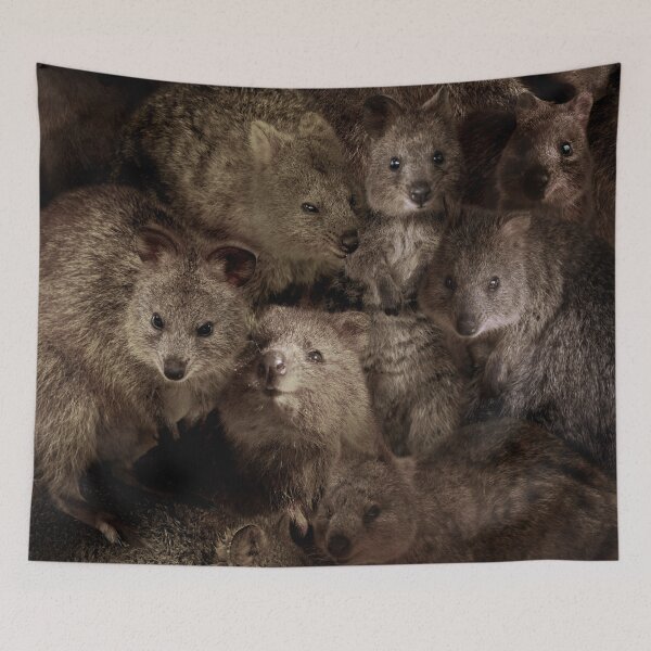 Item preview, Quokkas designed and sold by MaxencePierrard.
