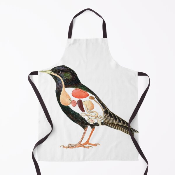 Item preview, Cross section, painting illustration, starling, animal internal organs, showing the starling (scientific name: Sturnus) beak is straight and pointed designed and sold by zenger2021.