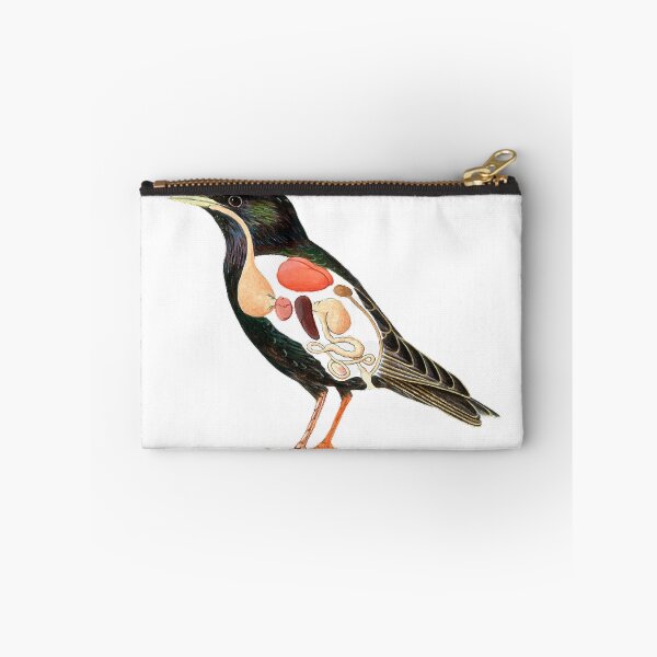 Item preview, Cross section, painting illustration, starling, animal internal organs, showing the starling (scientific name: Sturnus) beak is straight and pointed designed and sold by zenger2021.