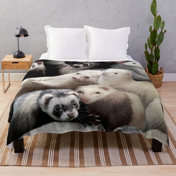 Ferret blankets outlet