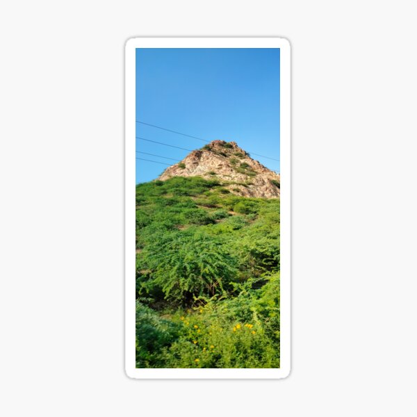 Item preview, Senary of art of nature designed and sold by Devji.