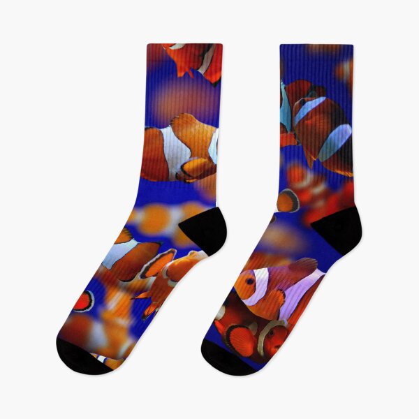 Item preview, Clown Fish designed and sold by MaxencePierrard.