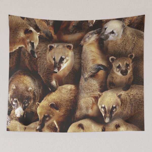 Item preview, Coatis designed and sold by MaxencePierrard.