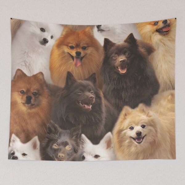 Item preview, Spitz designed and sold by MaxencePierrard.