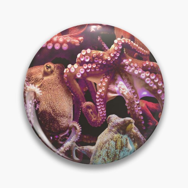 Item preview, Octopuses designed and sold by MaxencePierrard.