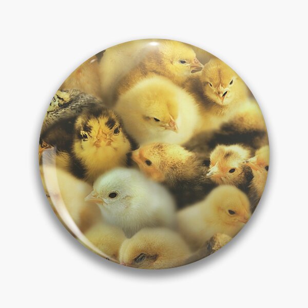 Item preview, Chicks designed and sold by MaxencePierrard.