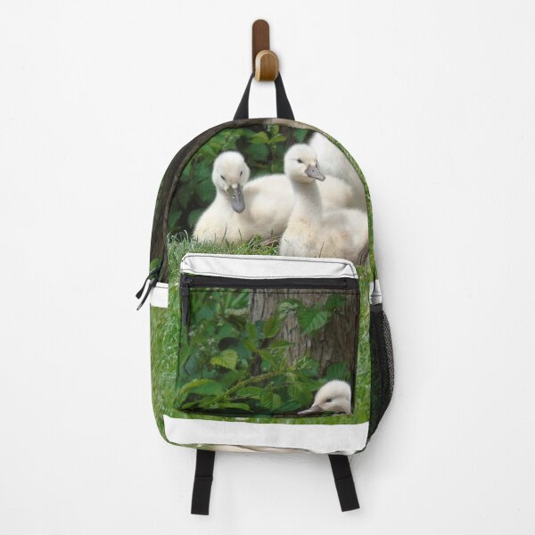 Item preview, Lovely cygnets designed and sold by Anita van Gendt.