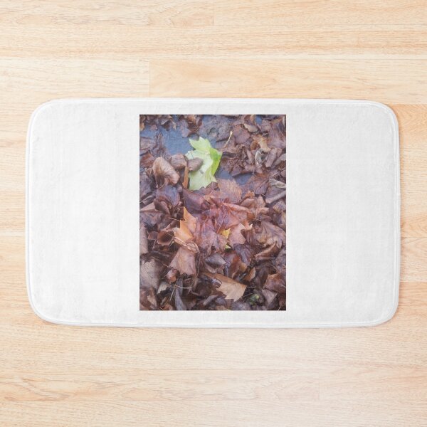 Item preview, Volksbolts/KABFA Designs, Fallen leaves one is still Green, By Miss K L Slomczynski designed and sold by KABFA Designs.