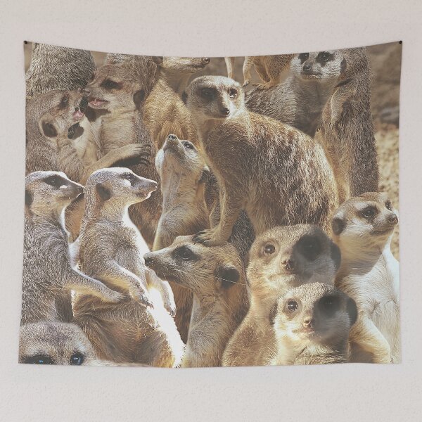Item preview, Suricate designed and sold by MaxencePierrard.