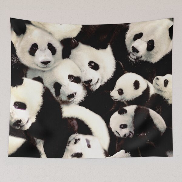 Aperçu de l'œuvre Pandas créée et vendue par MaxencePierrard.