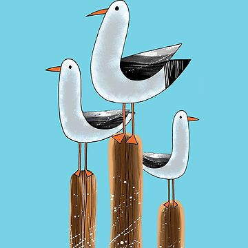 Vorschaubild zum Design Möwen von Andrew Hitchen