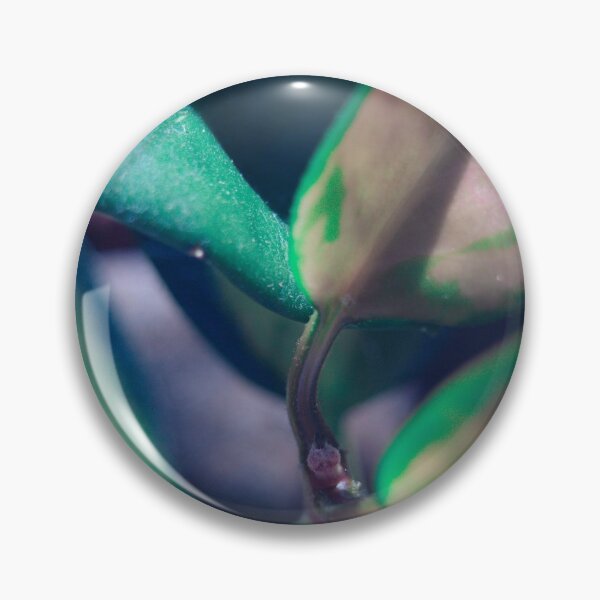 Item preview, close up of hoya, green and soft pink designed and sold by no-photo.