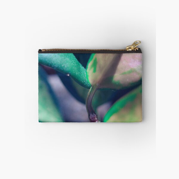Item preview, close up of hoya, green and soft pink designed and sold by no-photo.