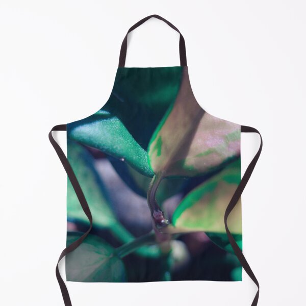 Item preview, close up of hoya, green and soft pink designed and sold by no-photo.