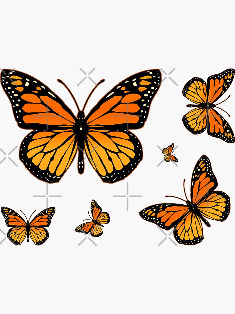 Monarch Butterfly Rapsody by Garaga