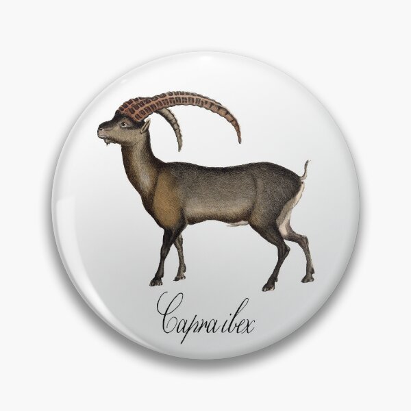 Item preview, Alpine Ibex - Capra ibex designed and sold by thatsit-itslit.