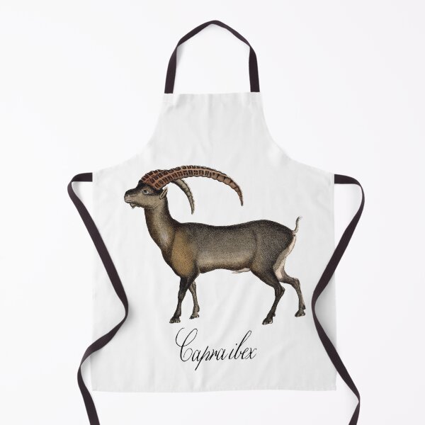 Item preview, Alpine Ibex - Capra ibex designed and sold by thatsit-itslit.