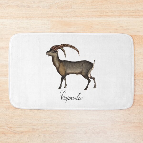 Item preview, Alpine Ibex - Capra ibex designed and sold by thatsit-itslit.