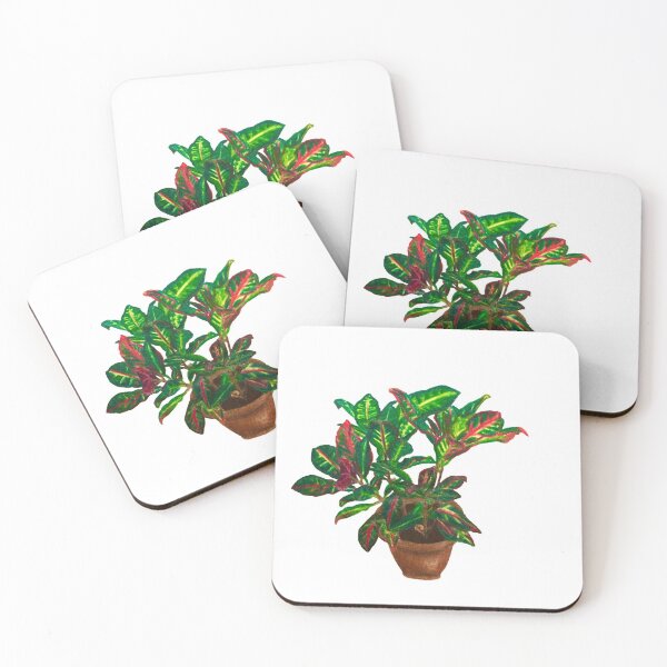 Item preview, Croton Plant designed and sold by dketterlean.