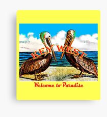 Pelican Paradise Canvas Print