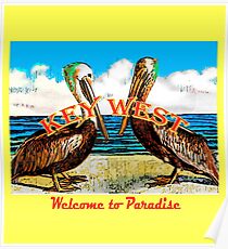 Pelican Paradise Poster